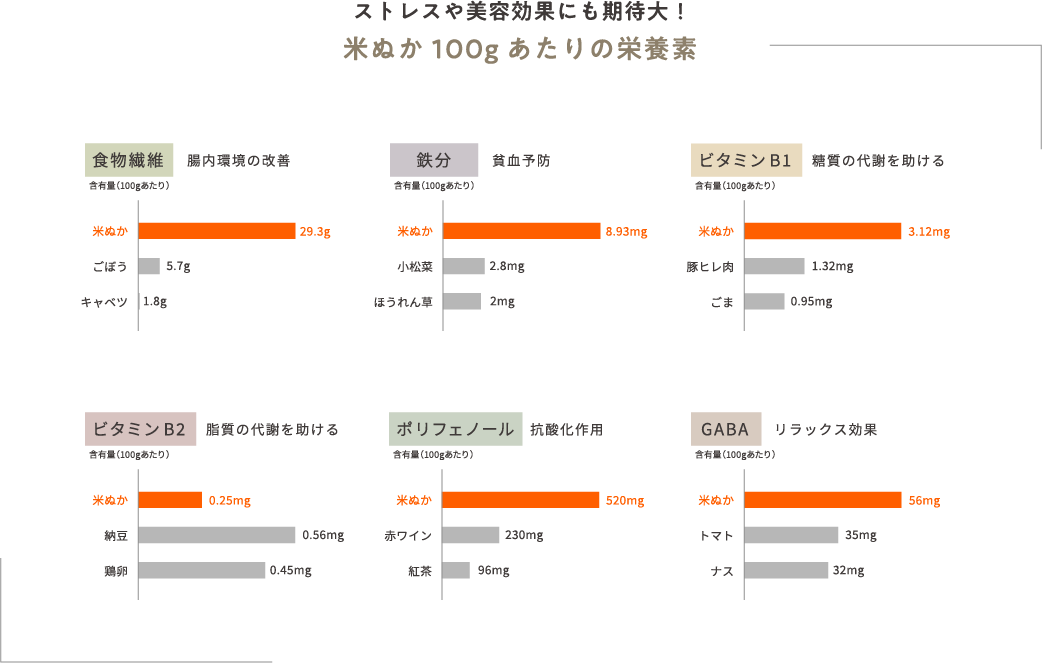 ストレスや美容効果にも期待大！米ぬか100gあたりの栄養素